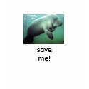 manateeb, save me! t-shirts