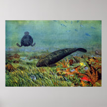 Manatees and Colorful Fish Poster