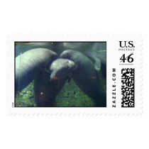 manatees lifting manatees postage