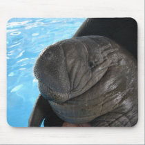 Manati SMP04 mousepads