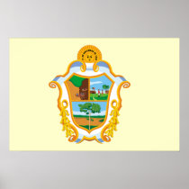 Manaus Amazonas Brasil, Brazil flag Posters