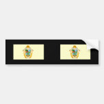 Manaus Amazonas, Brazil Bumper Sticker