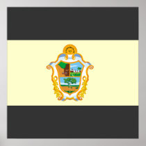 Manaus Amazonas, Brazil Poster