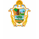 Manaus Amazonas, Brazil t-shirts