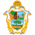 Manaus Amazonas, Brazil t-shirts
