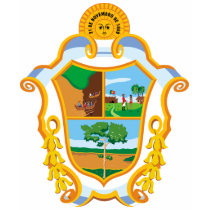 Manaus Amazonas, Brazil t-shirts