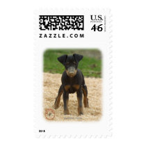Manchester Terrier 9B082D-03 postage