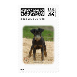 Manchester Terrier 9B082D-03 postage