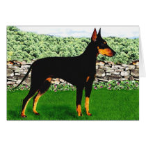Manchester Terrier Card by k9images Manchester Terrier Card