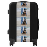 Manchester Terrier X - Jordan - Derr Luggage