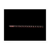 Manchurian Stone Flute posters