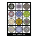 Mandala print - "A year of mandalas 2009" by MandalaArt Mandala print - "A year of mandalas 2009"