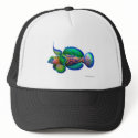 Mandarin Dragonet Fish hats by twopurringcats Mandarin Dragonet Fish hats