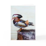 Mandarin Drake Duck Greeting Card