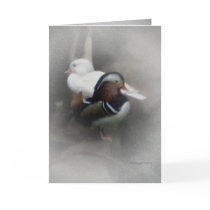 Mandarin Duck and Friend... Greeting Cards