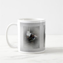 Mandarin Duck and Friend... Coffee Mug