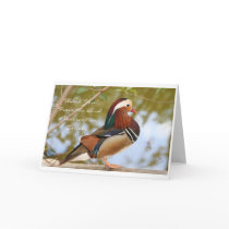 Mandarin Duck Cards