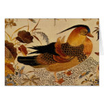 Mandarin Duck cards