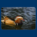 Mandarin Duck Magnet magnets