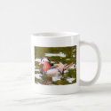 MANDARIN DUCK mugs by Sherlockdonatello MANDARIN DUCK mugs