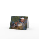mandarin duck note card