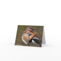 Mandarin Duck Notecard
