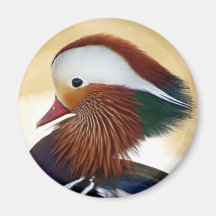 Mandarin Duck Portrait Magnets