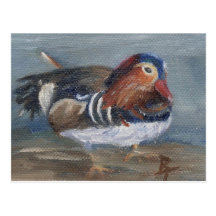 Mandarin Duck Postcard