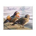 Mandarin ducks wrappedcanvas