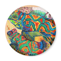 Mandarin Fish Art magnets by patsarts Mandarin Fish Art magnets