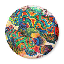 Mandarin Fish Art Refrigerator Magnets
