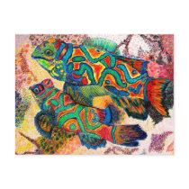 Mandarin Fish Art Postcard