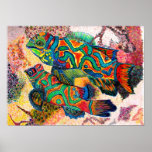 Mandarin Fish Posters