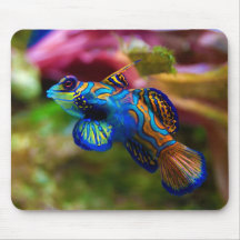 Mandarin Fish Synchiropus splendidus Mousepads