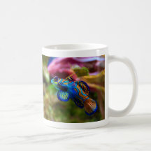 Mandarin Fish Synchiropus splendidus Mug