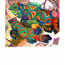 Mandarin Fish t-shirts by patsarts Mandarin Fish t-shirts
