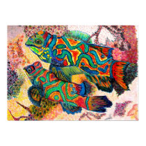 Mandarin Fish Watercolor posters by patsarts Mandarin Fish Watercolor posters