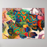 Mandarin Fish - watercolor posters