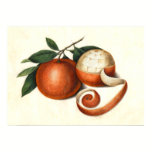 Mandarin Oranges Antique Chinese Painting posters
