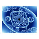 Mandelbubbles 2 posters