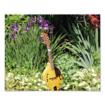Mandolin And Iris Garden 10x8 Flower Print Photo