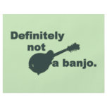 Mandolin -- Definitely Not A Banjo Flyers