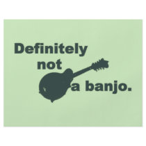 Mandolin -- Definitely Not A Banjo Flyers