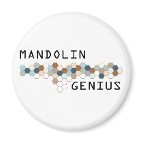 Mandolin Genius magnets