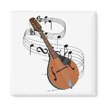 Mandolin magnets