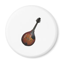 Mandolin Picker magnets