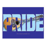 Mandolin Pride (Bowlback) Postcards