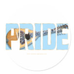 Mandolin Pride (Bowlback) Sticker