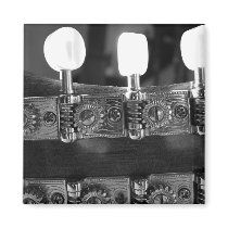 Mandolin Tuning Pegs magnets