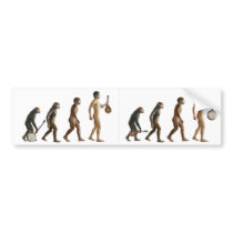 Mandolution Bumper Sticker